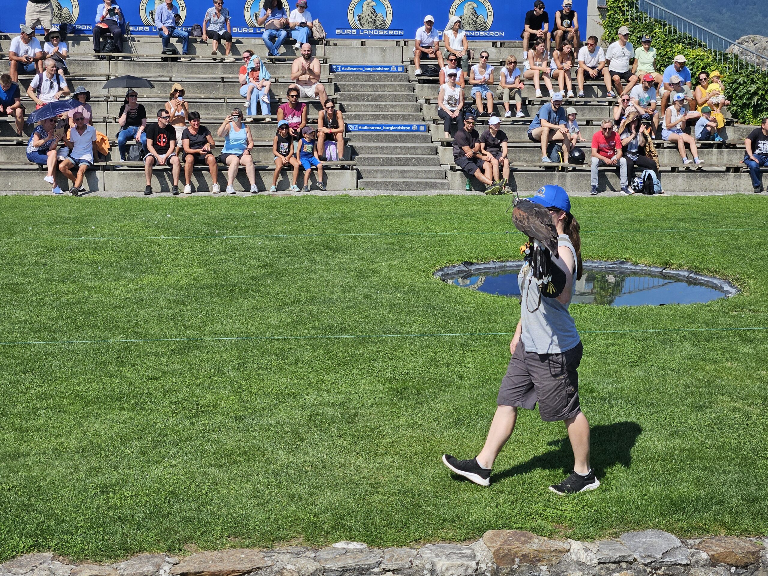 Adler Arena Kleinkind