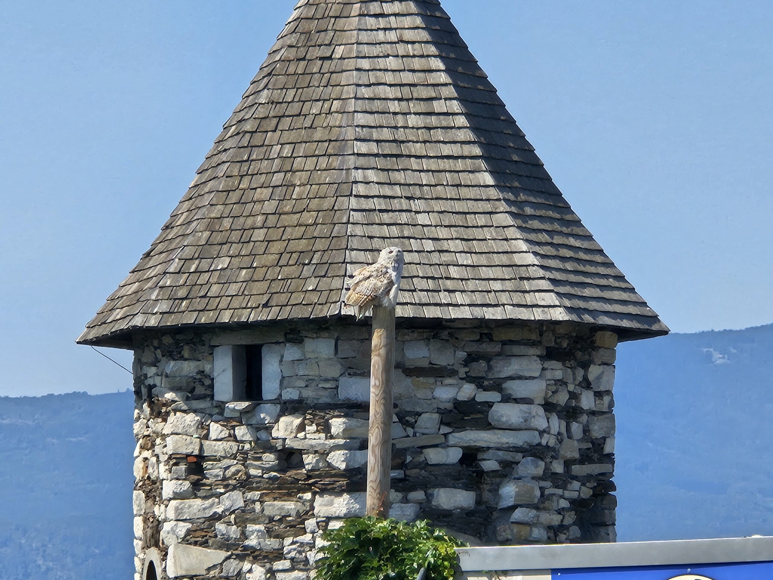 Adler Arena Kleinkind