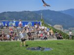Adler Arena Kleinkind