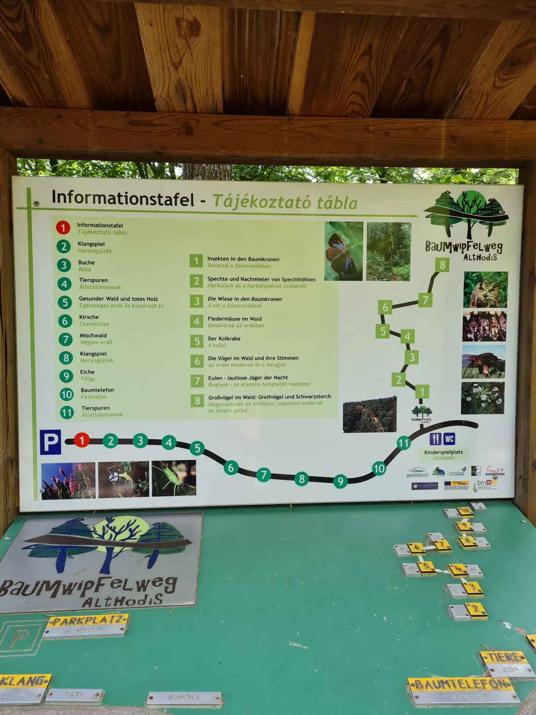 Baumwipfelweg Kinderwagen