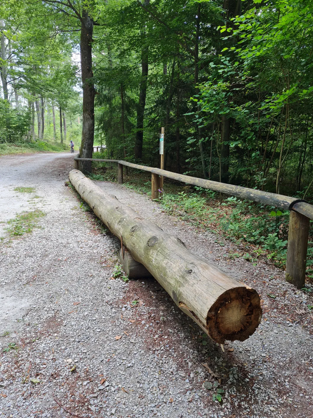 Baumwipfelweg Kinderwagen