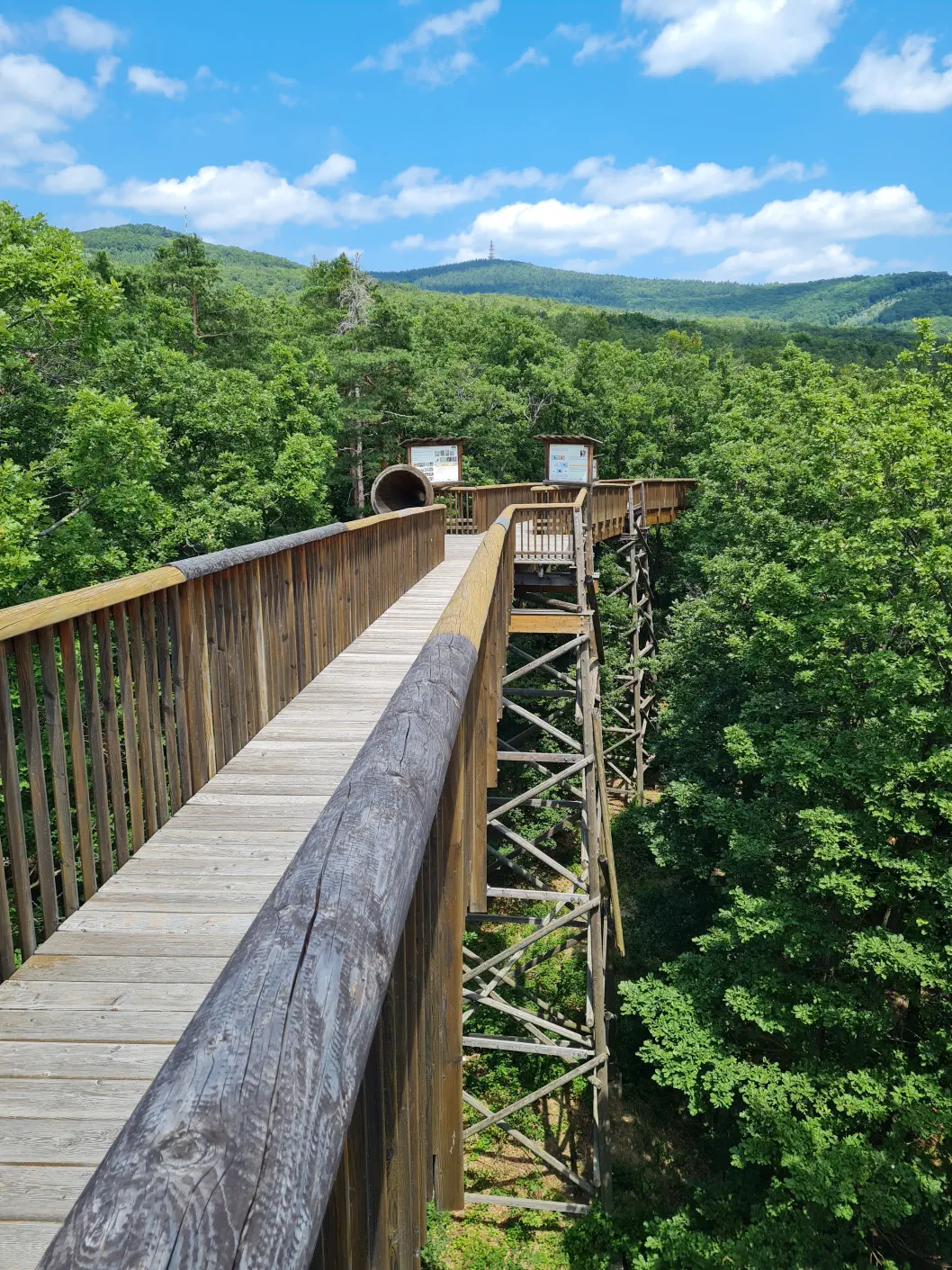 Baumwipfelweg Kinderwagen