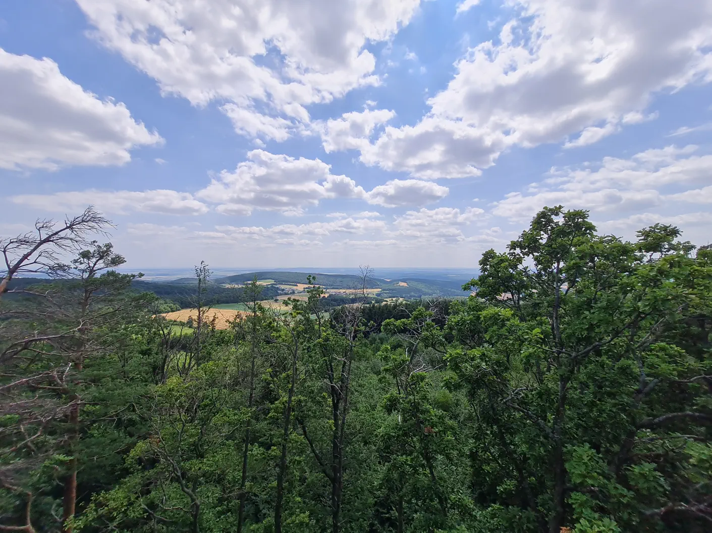 Baumwipfelweg Kinderwagen
