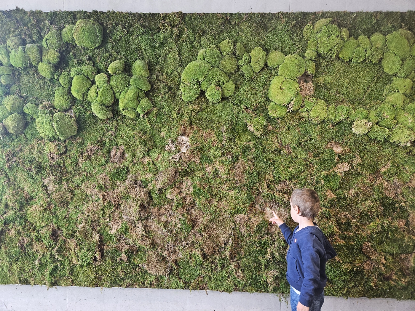 Ars Electronica Kleinkind