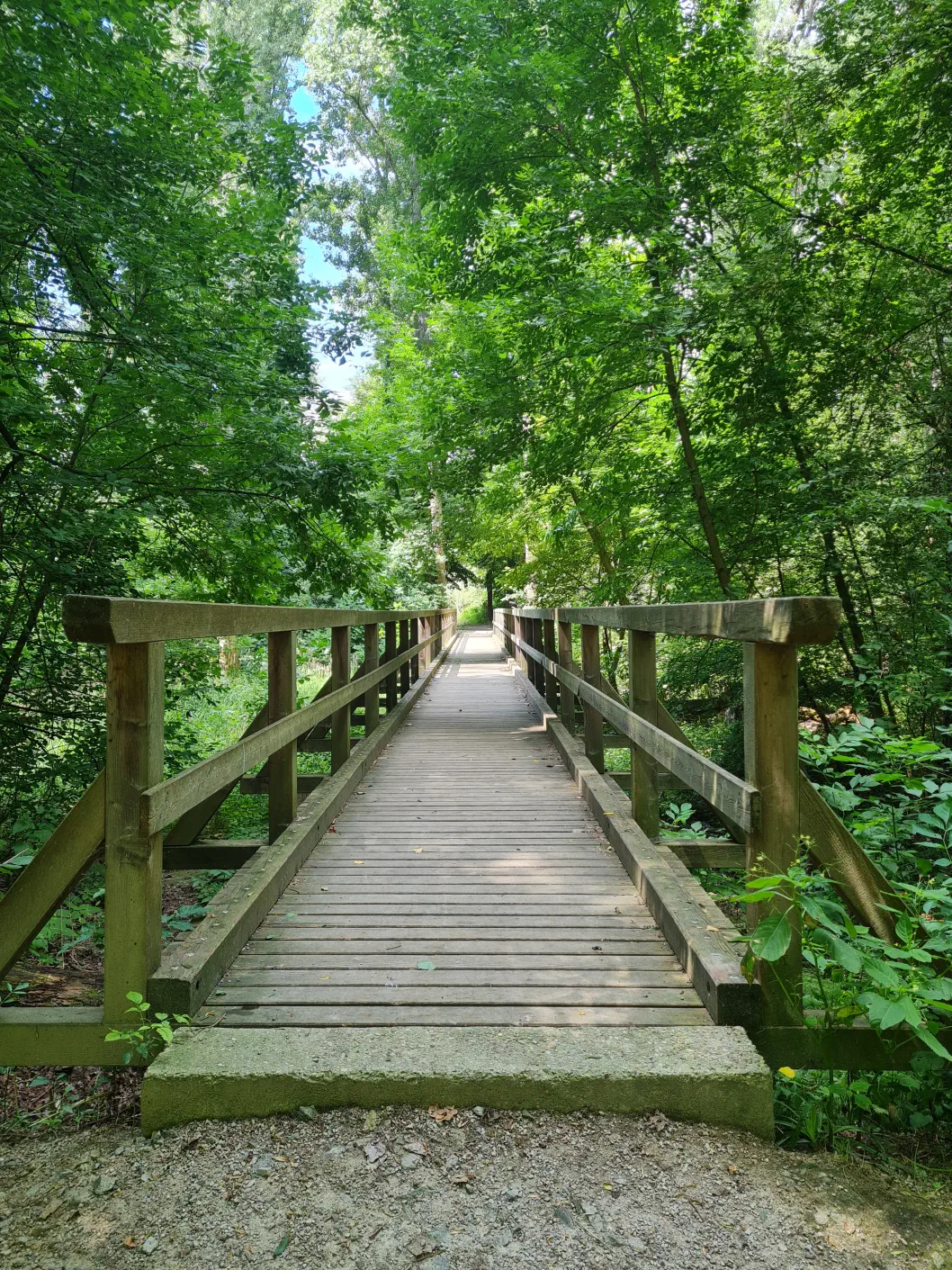 Über die Holzbrücke