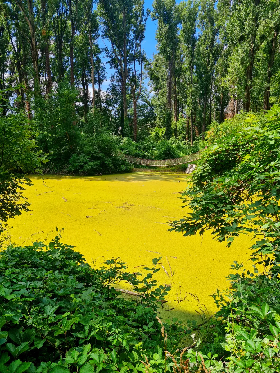 Erlebnisweg in der Au Klosterneuburg