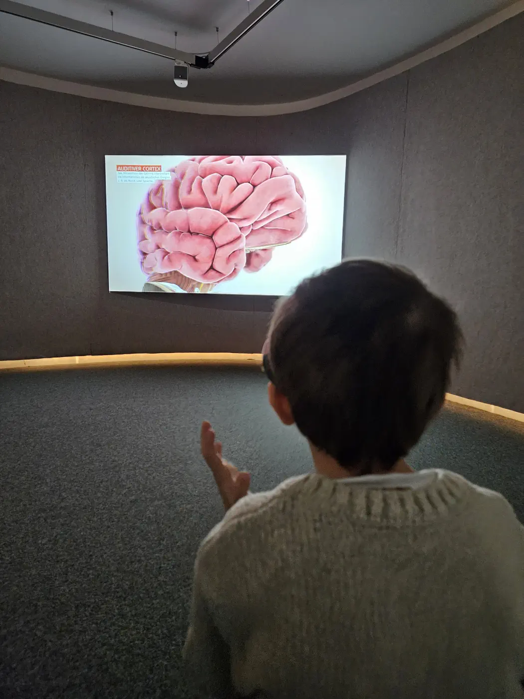 Audioversum Innsbruck Kind