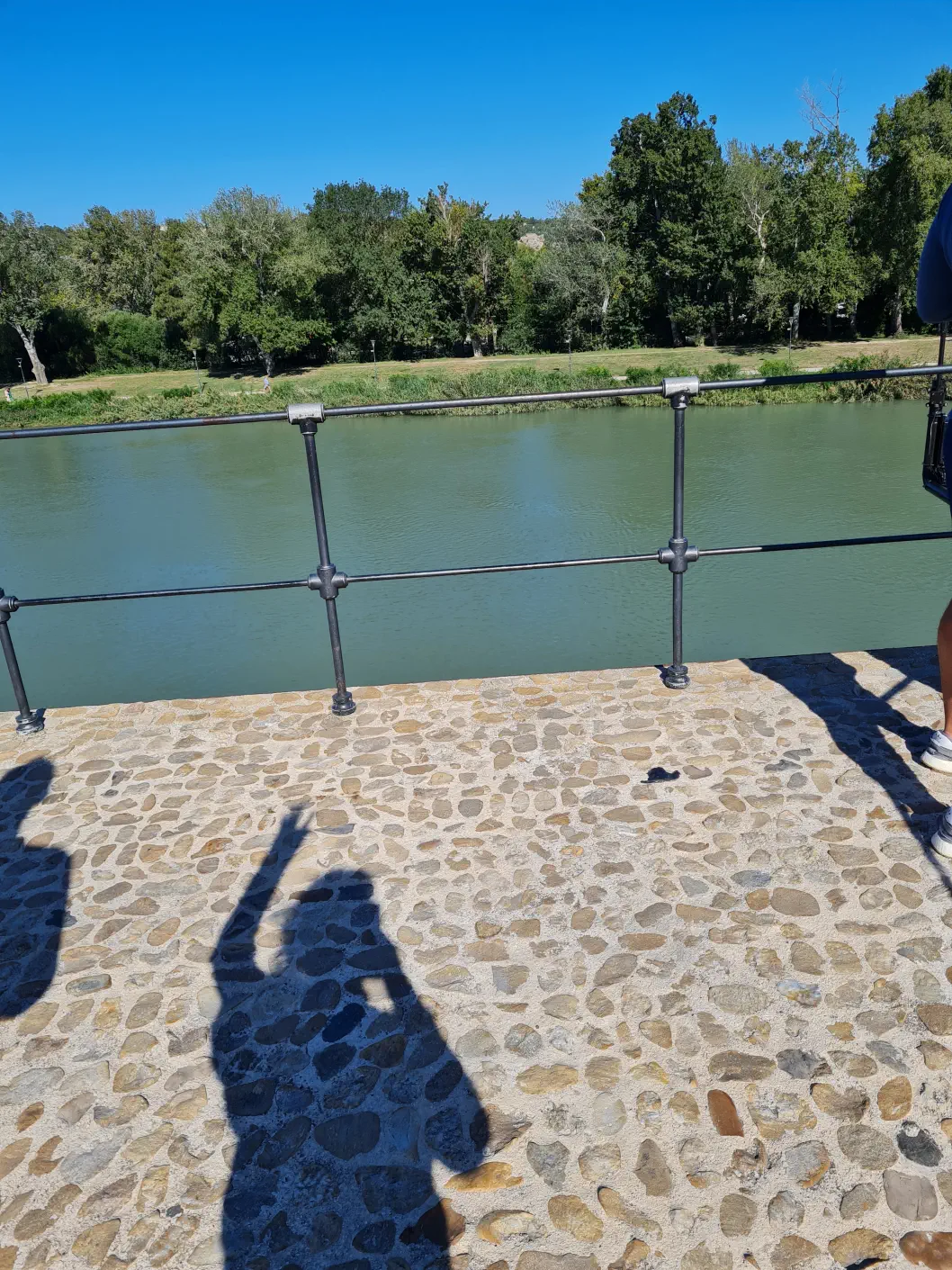 Avignon Tipps