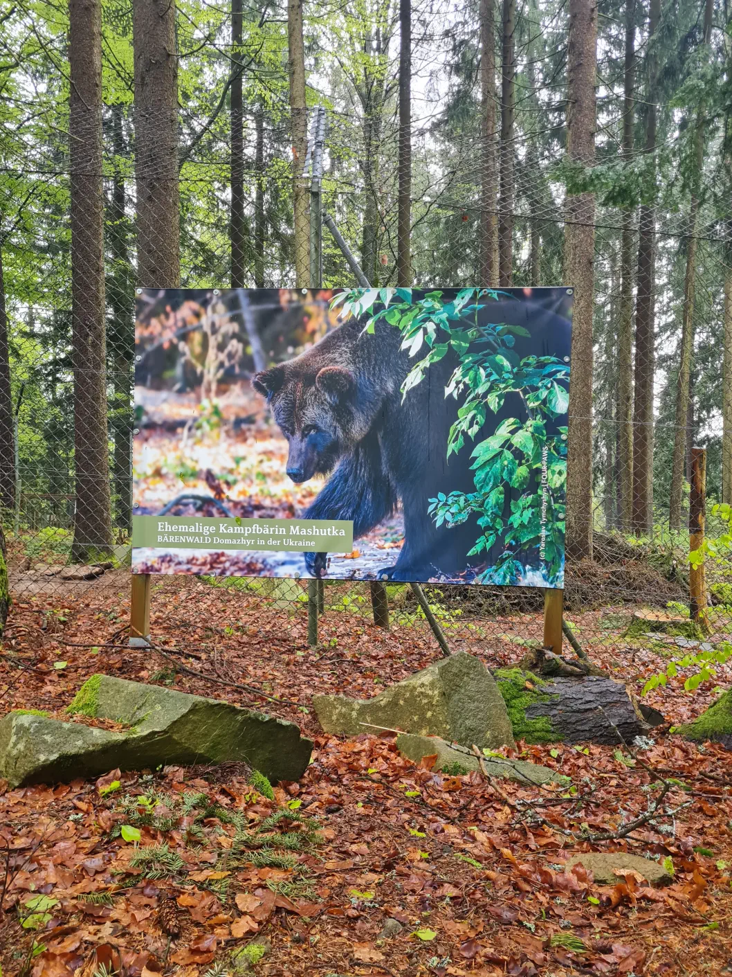Bärenwald Arbesbach Kinderwagen