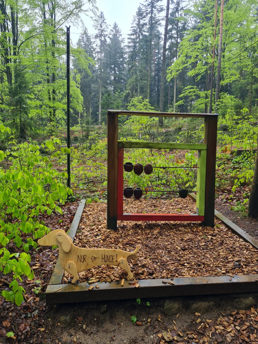 Bärenwald Arbesbach Kinderwagen