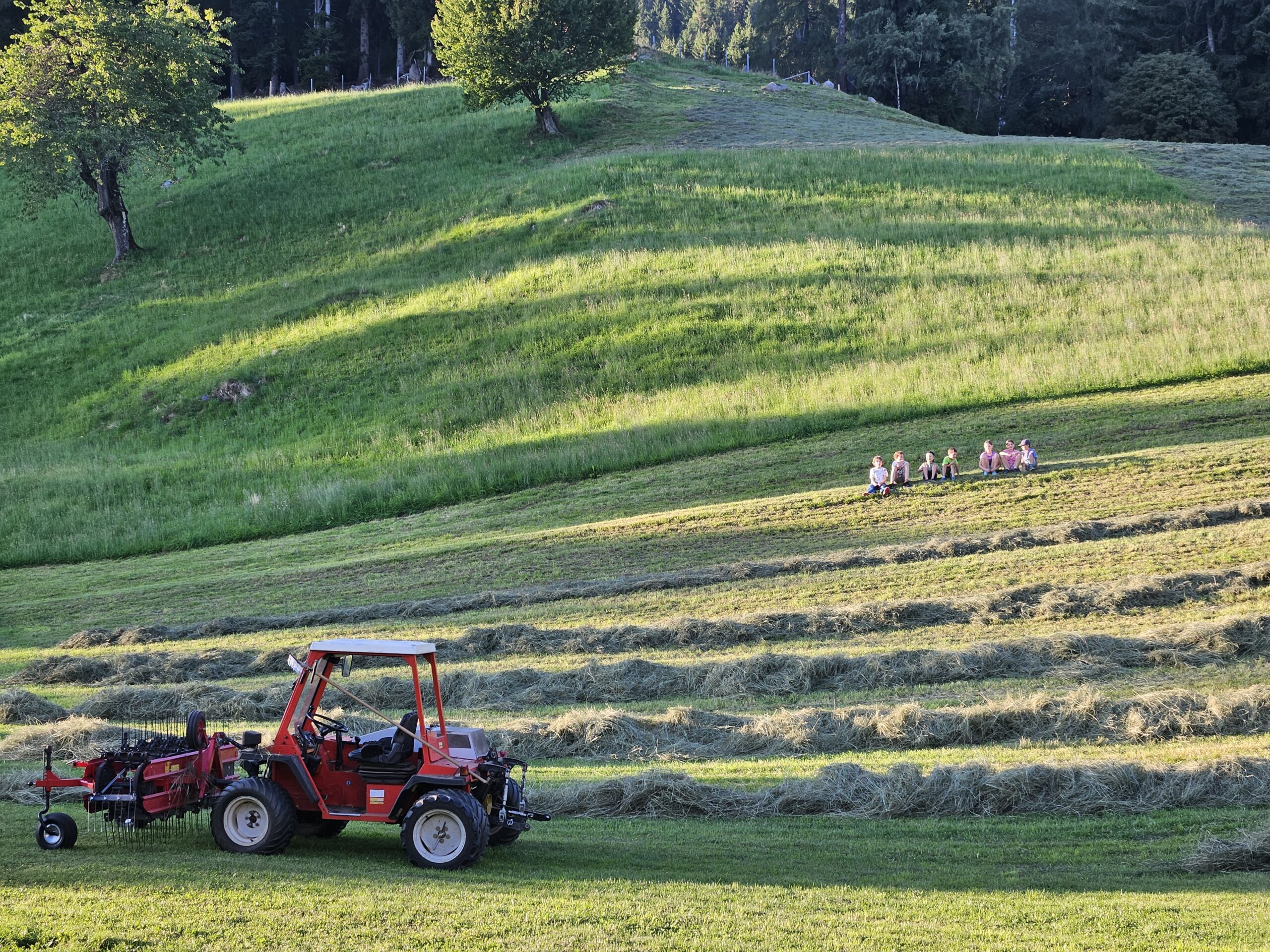 Urlaub am Bauernhof Berg