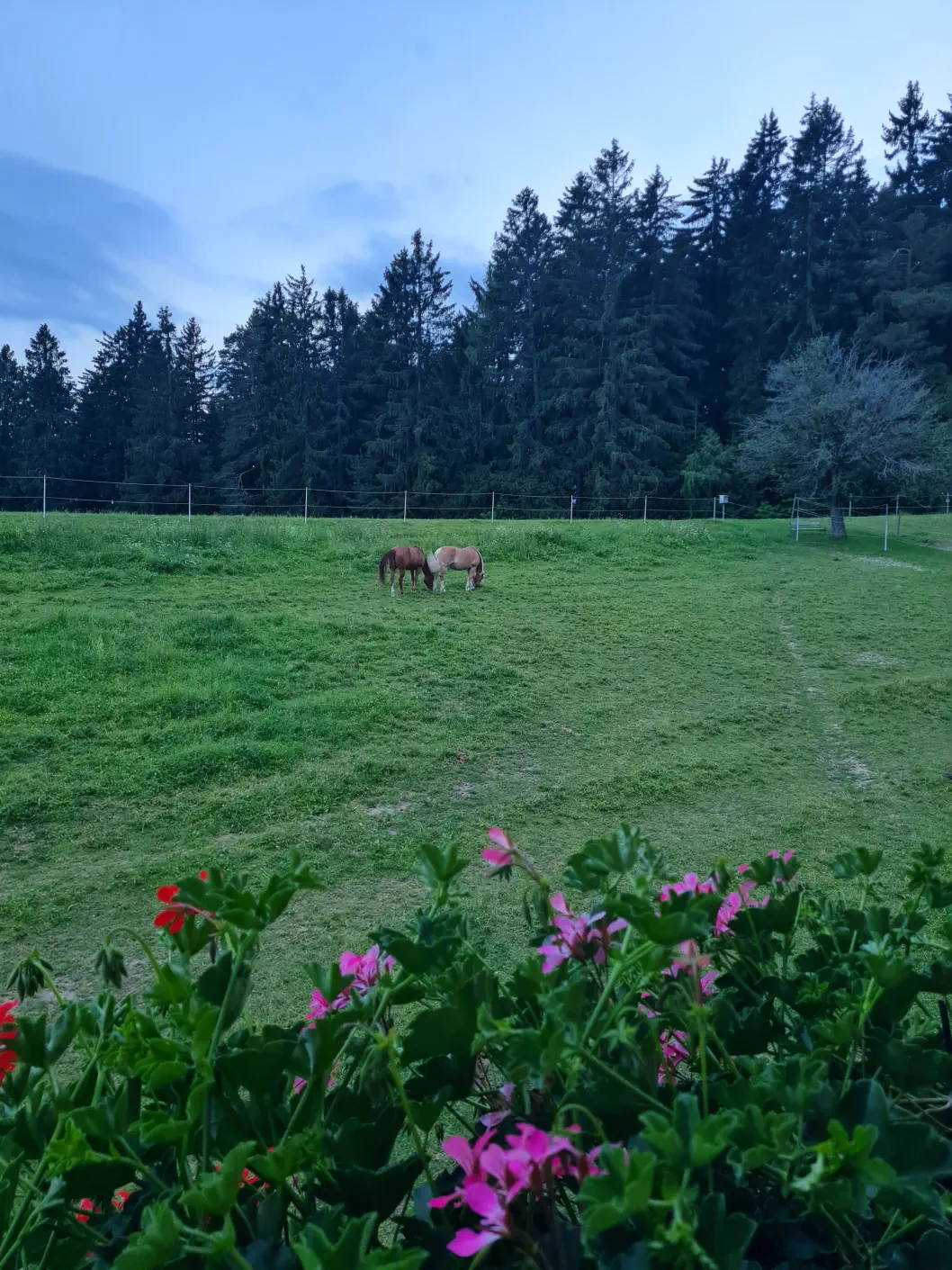 Urlaub am Bauernhof Steiermark