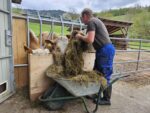 Urlaub am Bauernhof