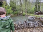 Urlaub am Bauernhof