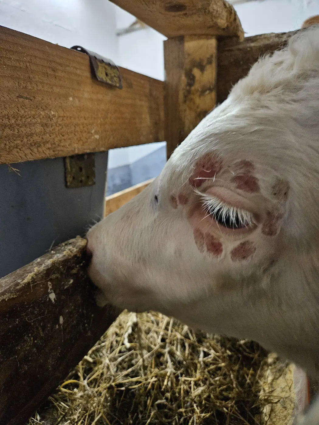 Ferienwohnung Urlaub am Bauernhof