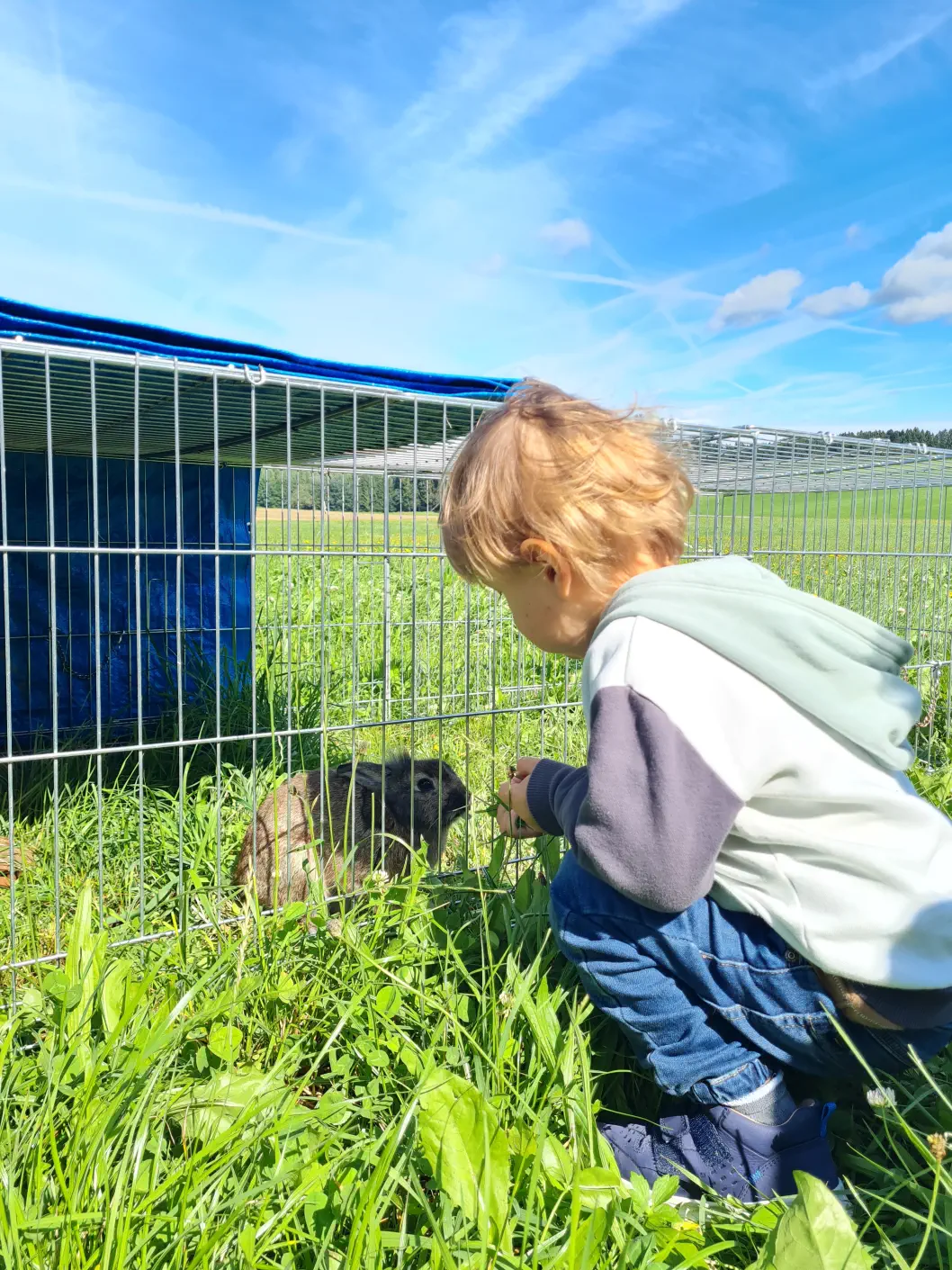 Oberösterreich Urlaub am Bauernhof