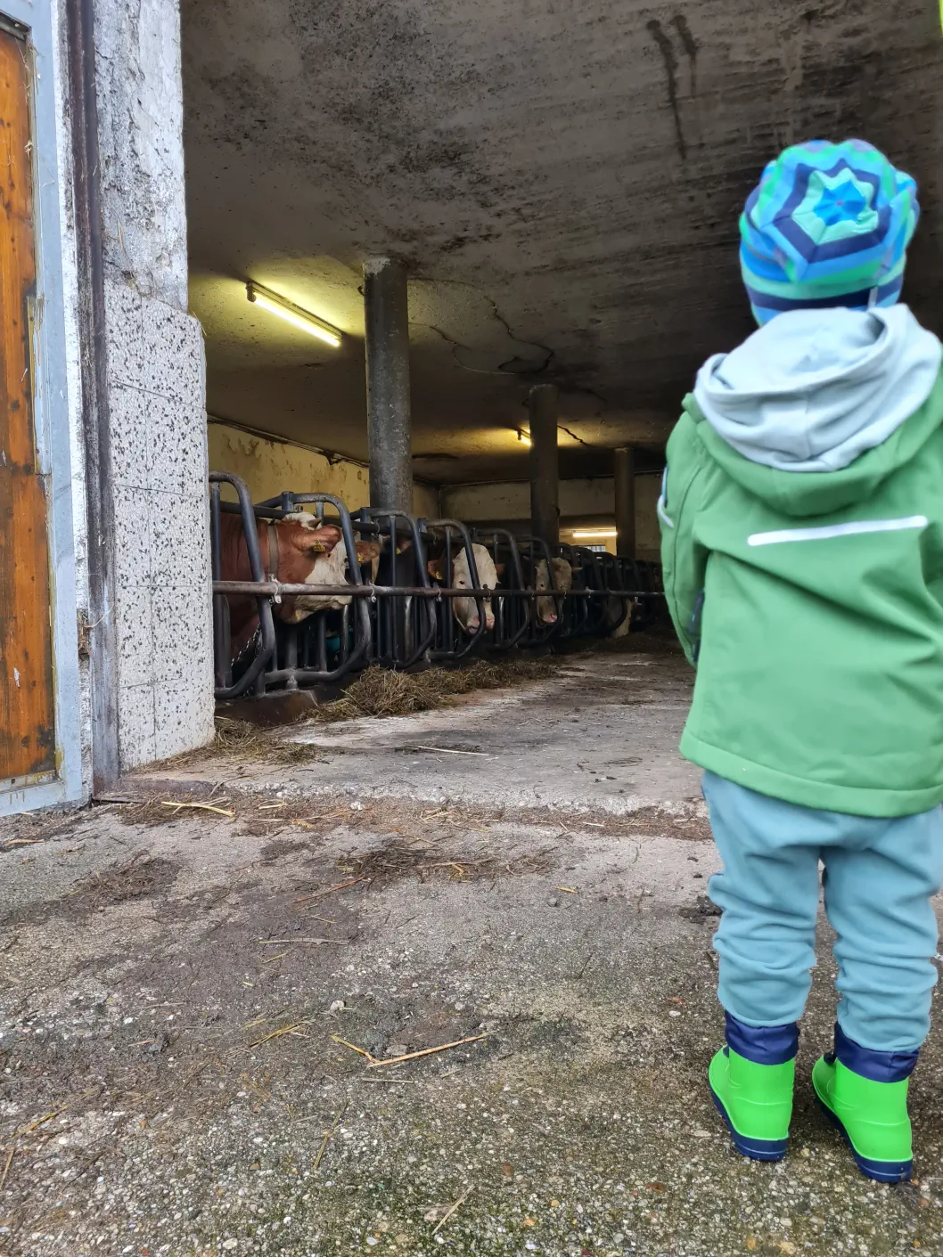 Oberösterreich Urlaub am Bauernhof