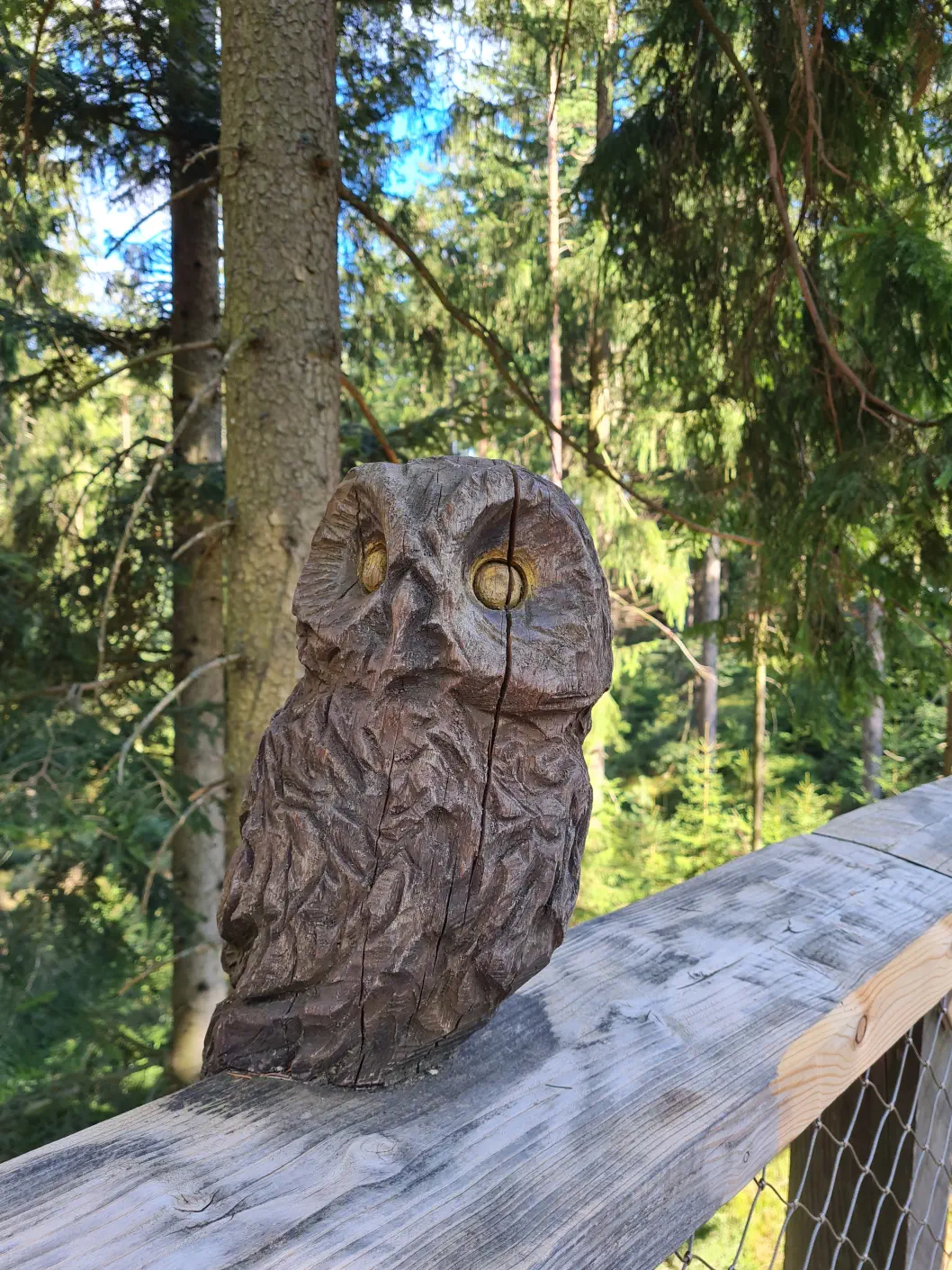 Baumwipfelpfad mit Kinderwagen