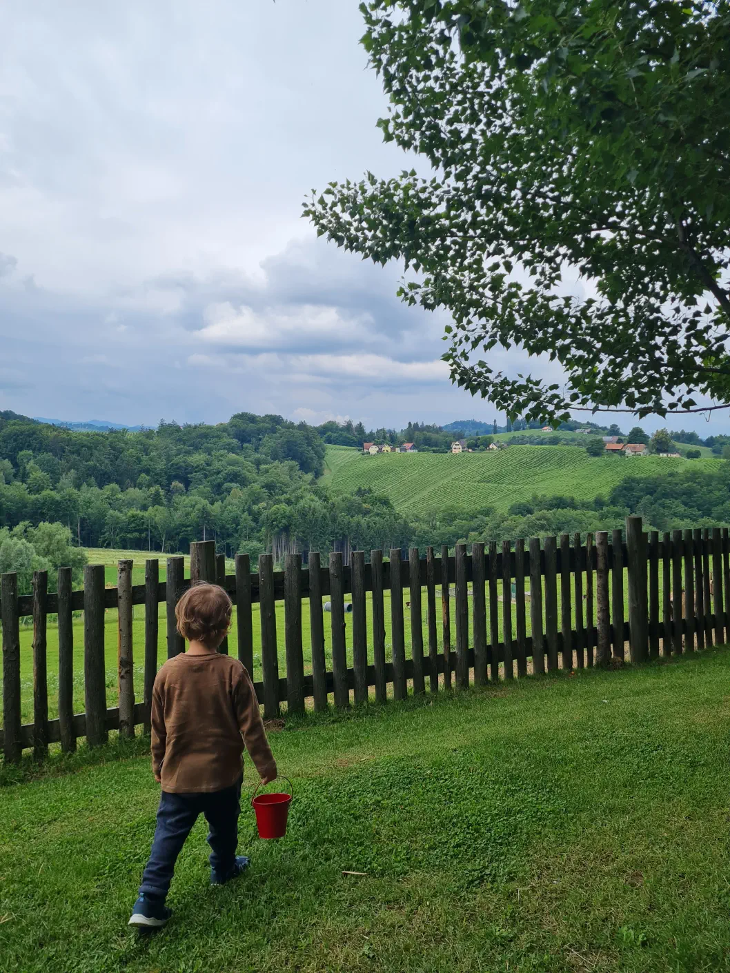 Bären Südsteiermark