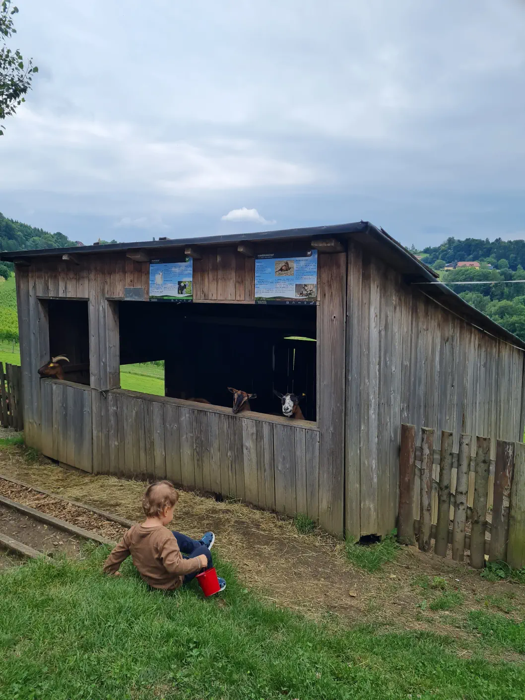 Bären Südsteiermark