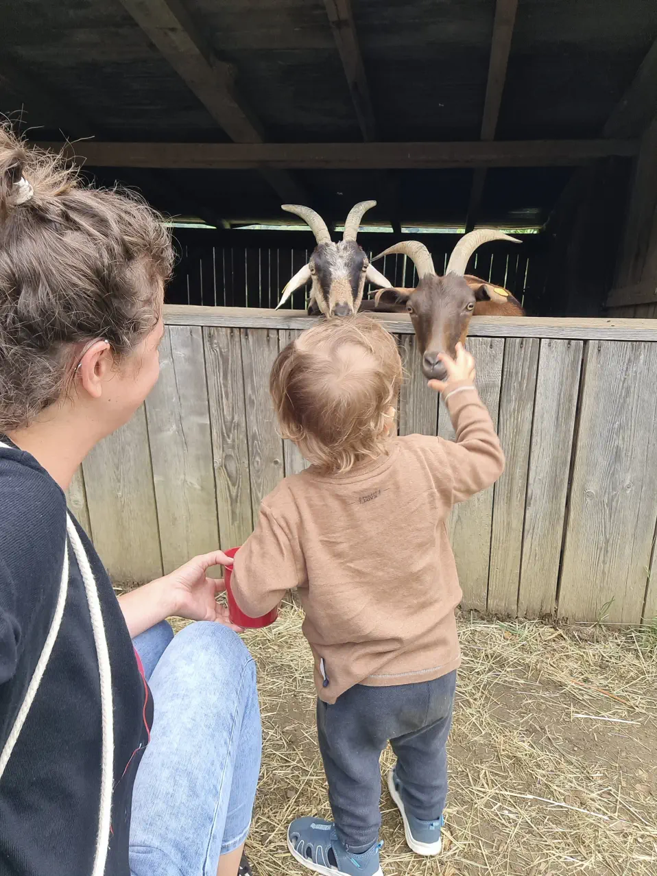 Bären Südsteiermark