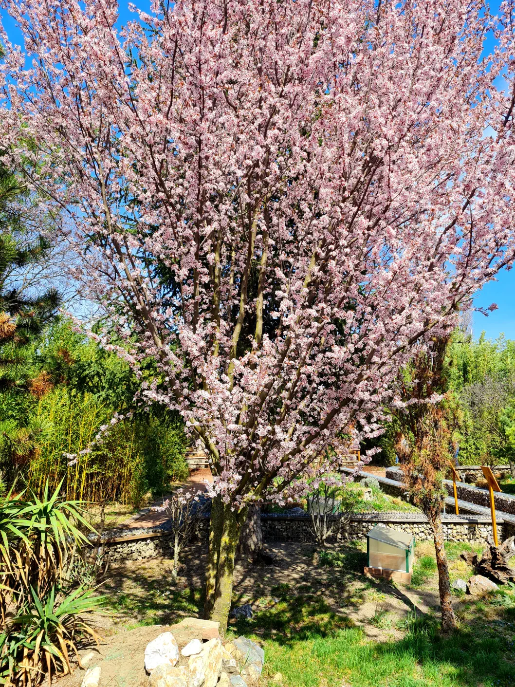 Blumengärten Hirschstetten Spielplatz