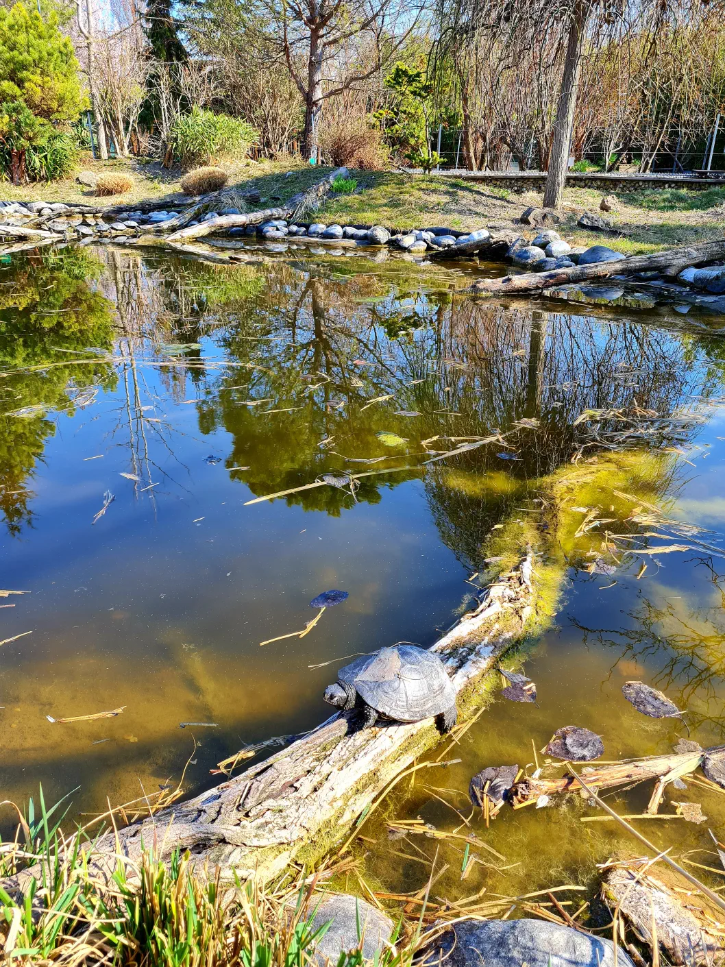 Blumengärten Hirschstetten Spielplatz