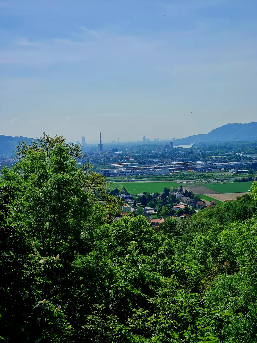 Burgen Niederösterreich