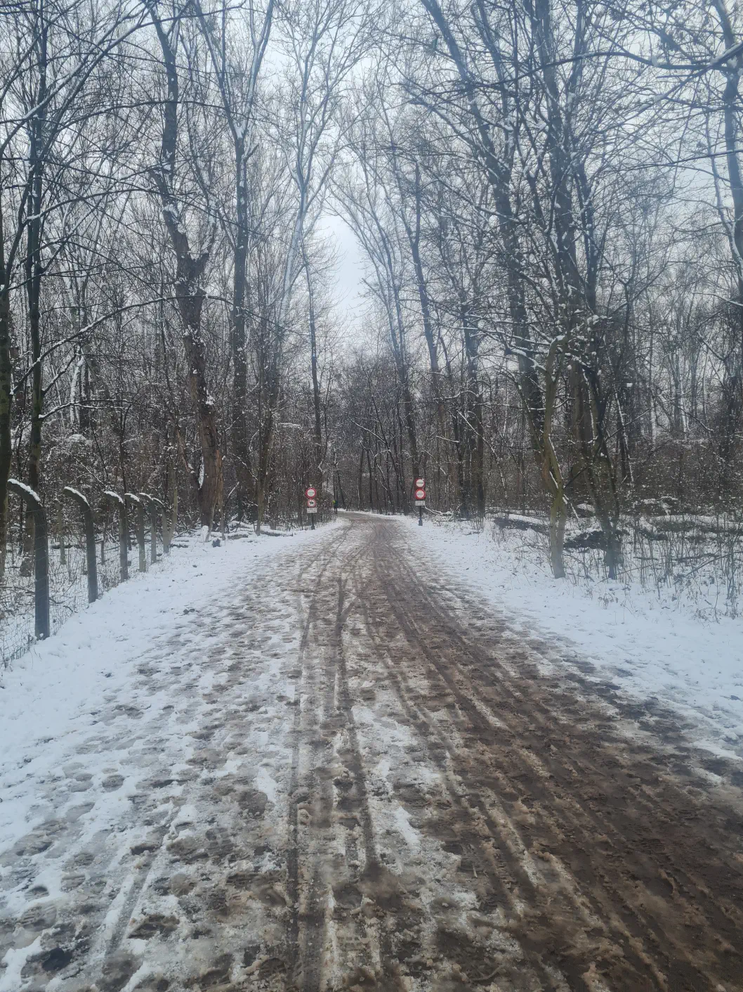 Nationalpark Donau Auen Kleinkind