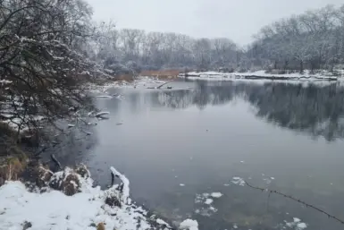 Nationalpark Donau Auen Kleinkind