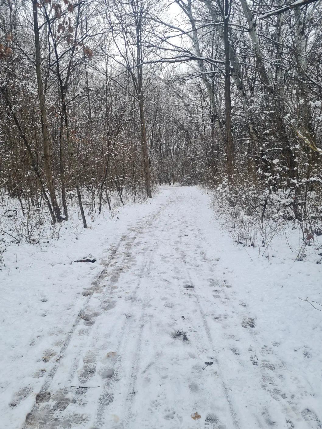 Nationalpark Donau Auen Kleinkind