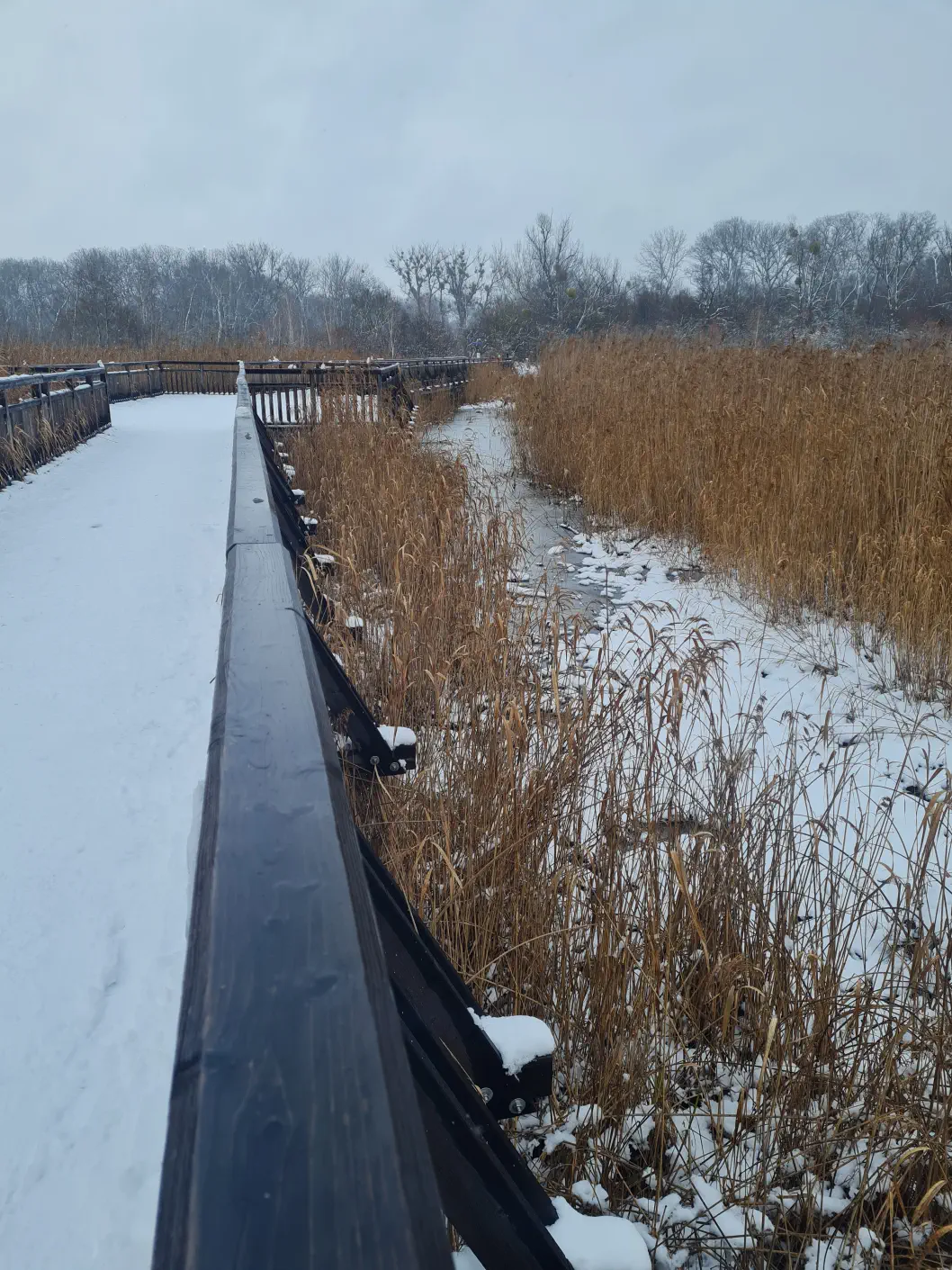 Nationalpark Donau Auen Kleinkind