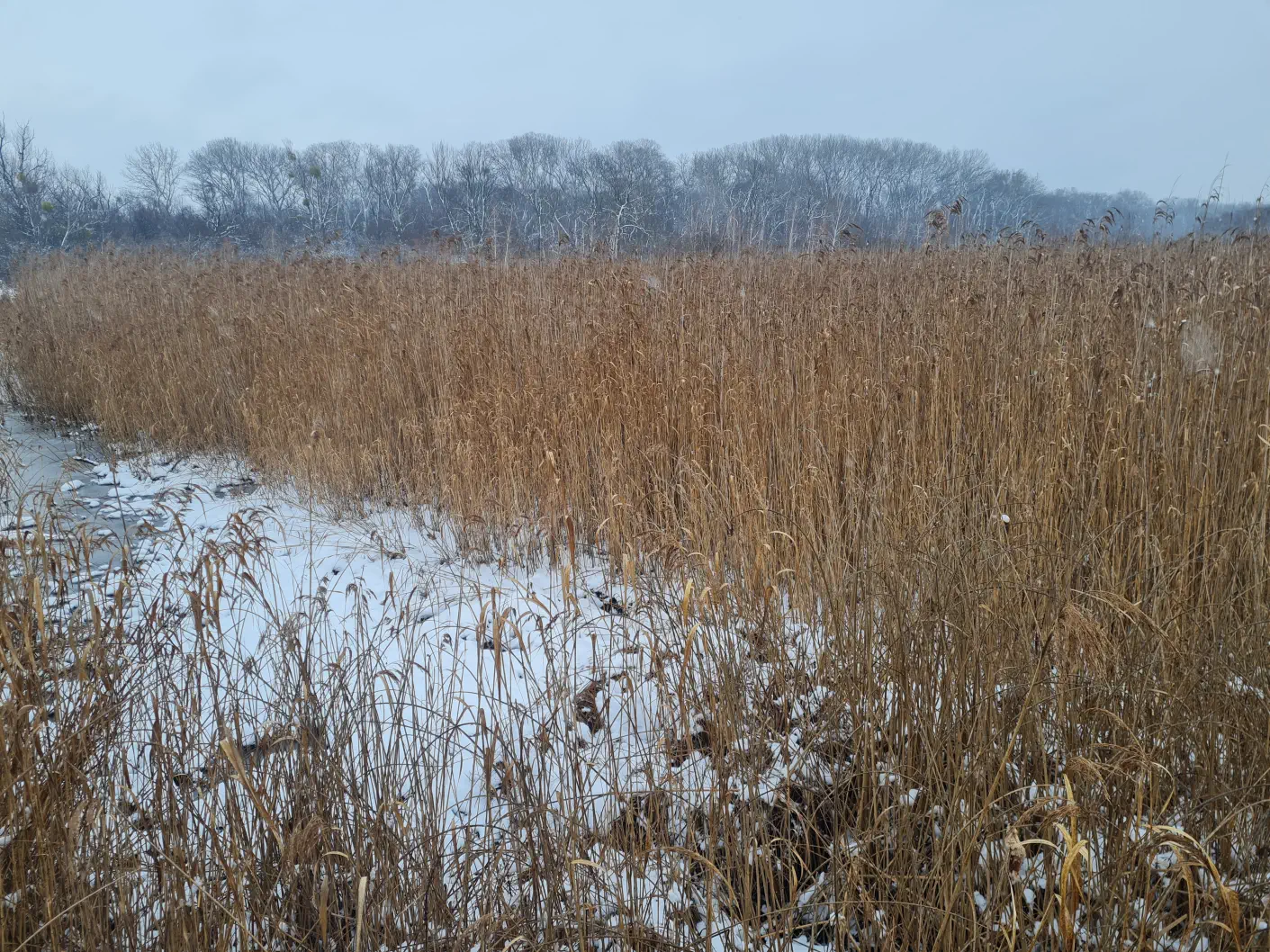 Nationalpark Donau Auen Kleinkind