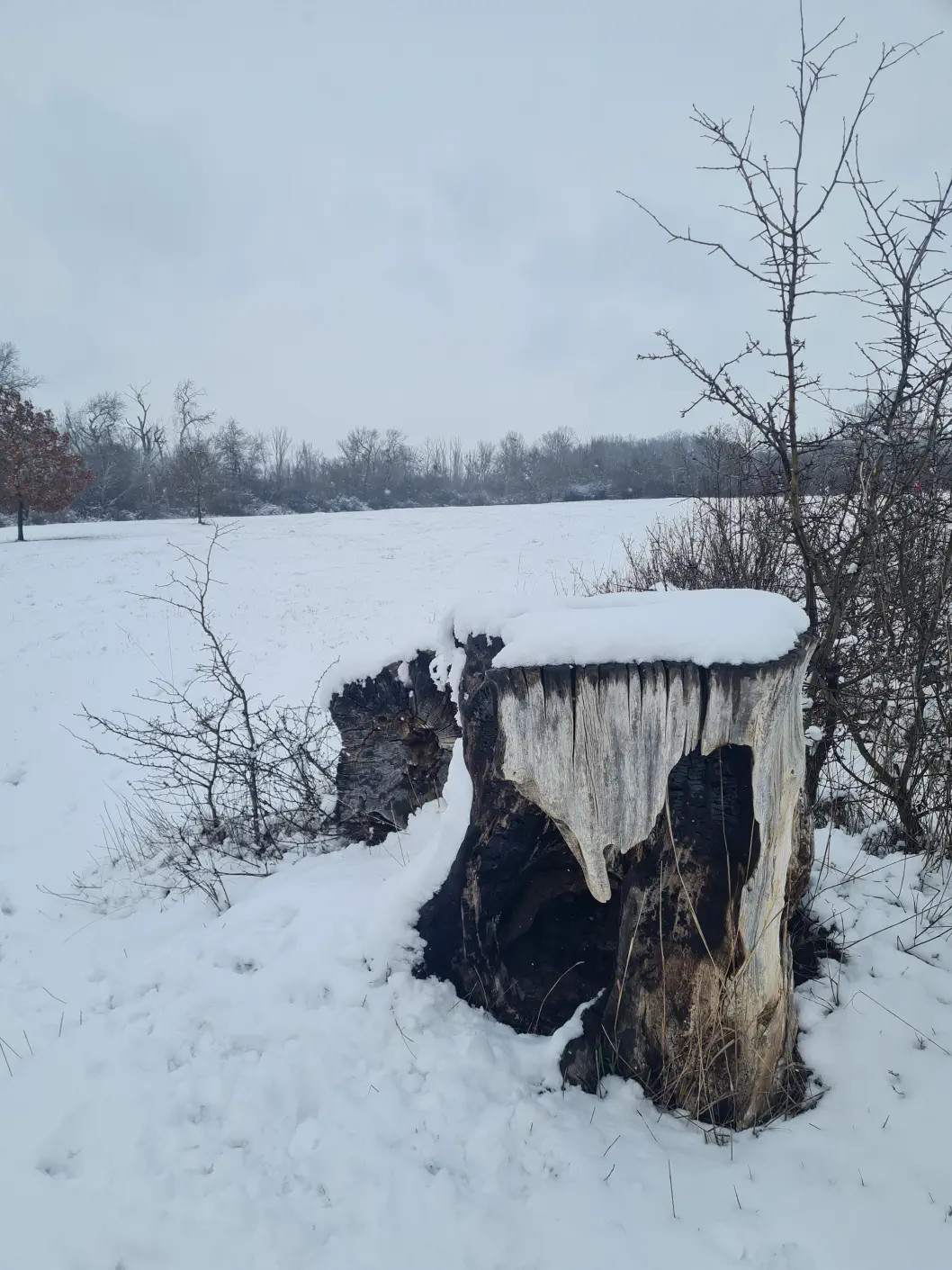 Nationalpark Donau Auen Kleinkind