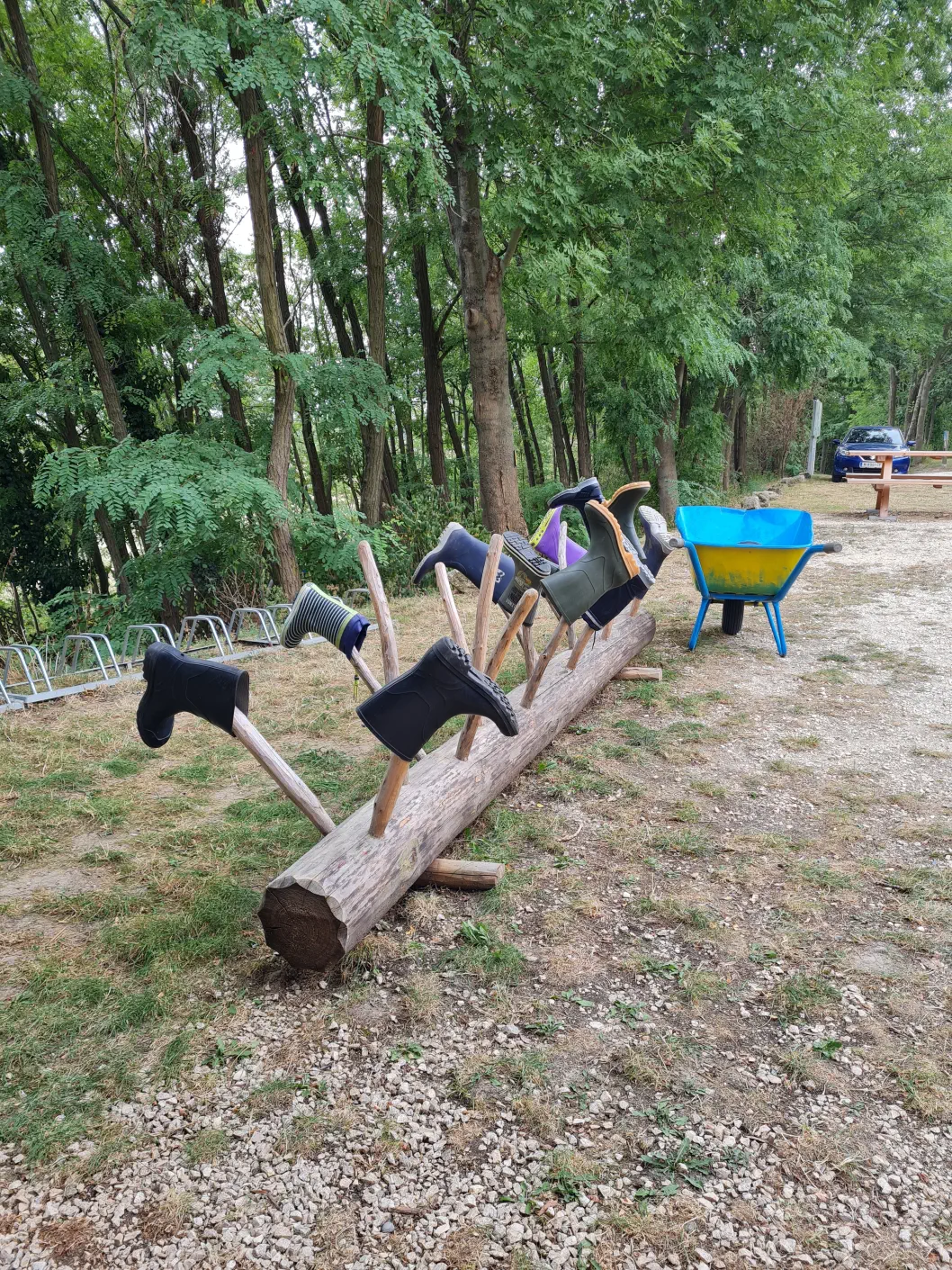 Draisine Weinviertel