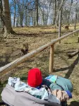 Wir staunen über die vielen Tiere