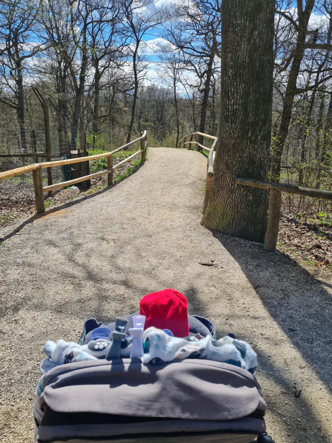 Niederösterreich Wildpark