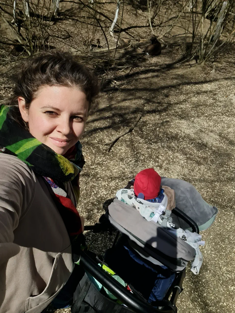 Niederösterreich Wildpark