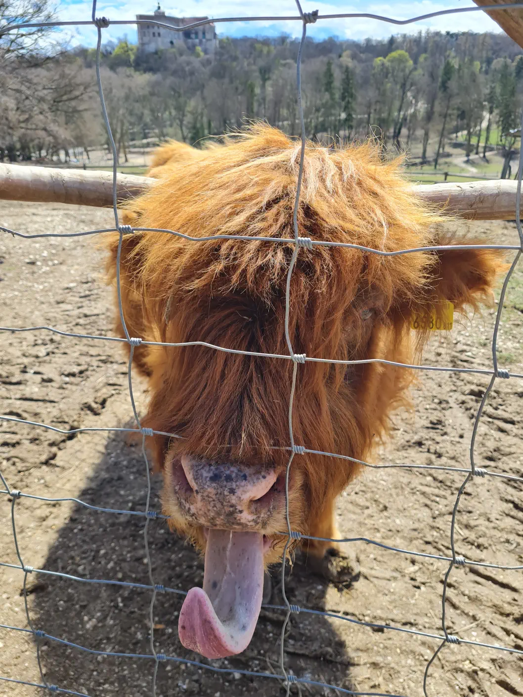 Niederösterreich Ausflugsziele Kleinkind