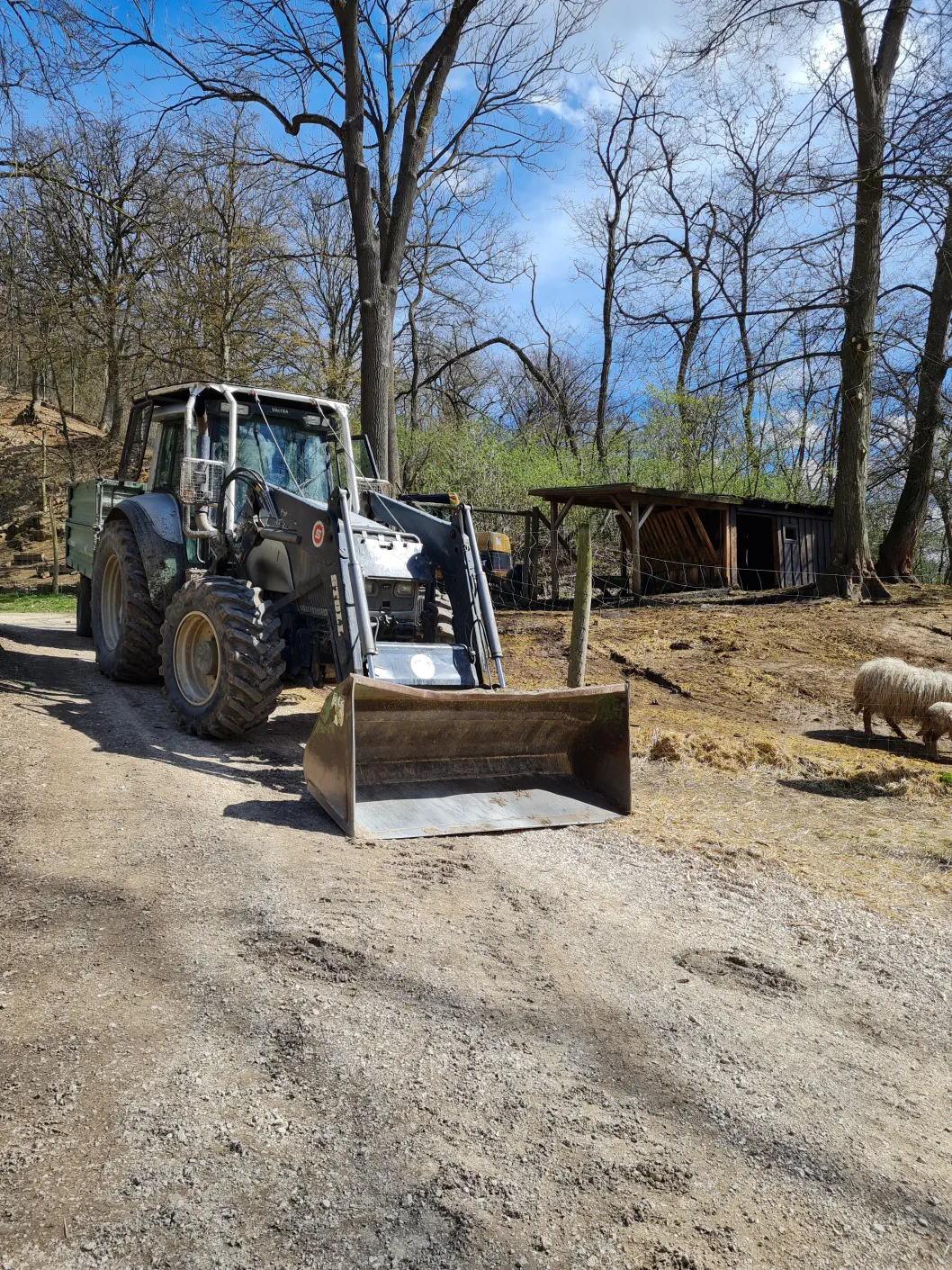 Ein Traktor! Wie toll!
