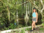 Everglades Tipps