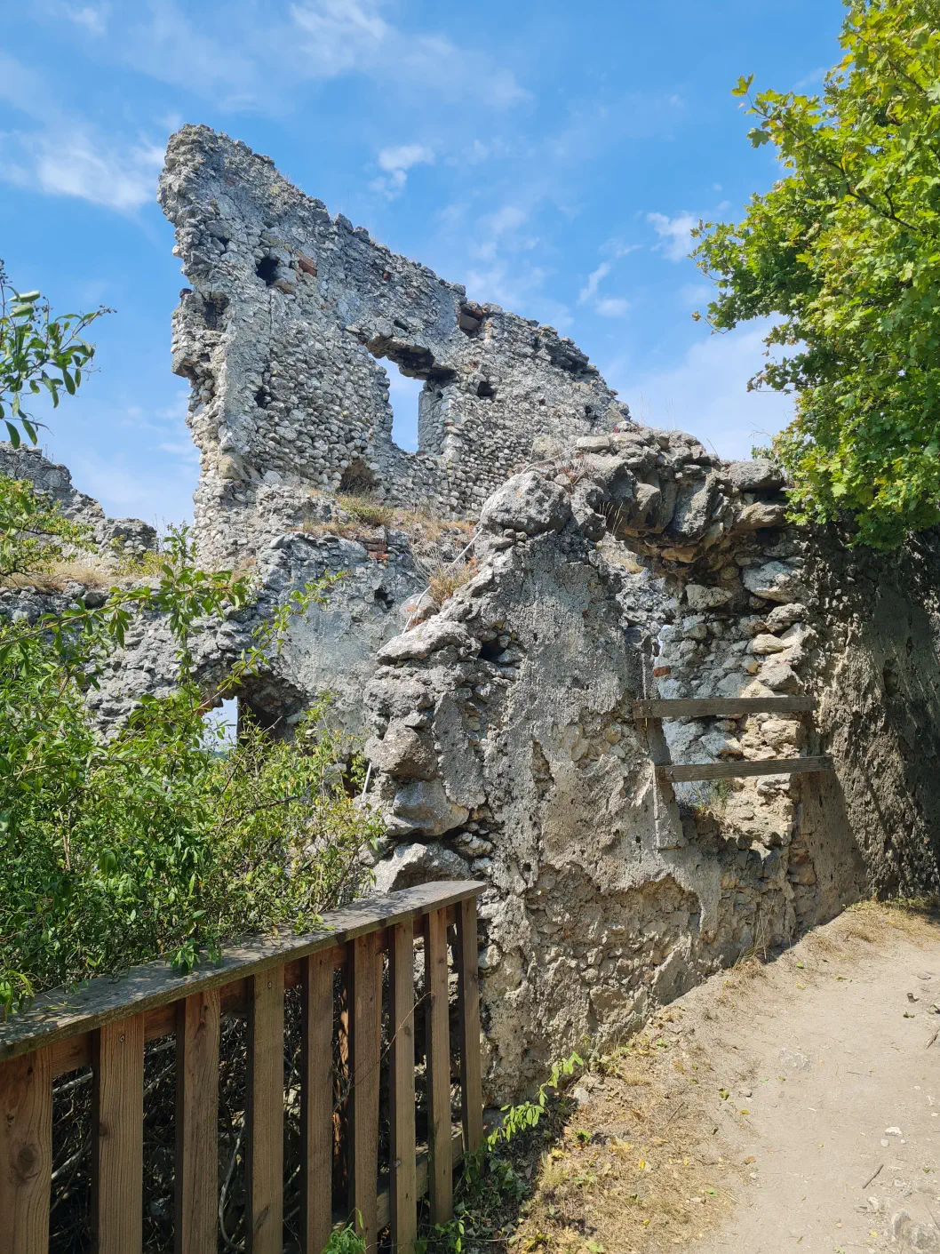 Burgruine Falkenstein Kind