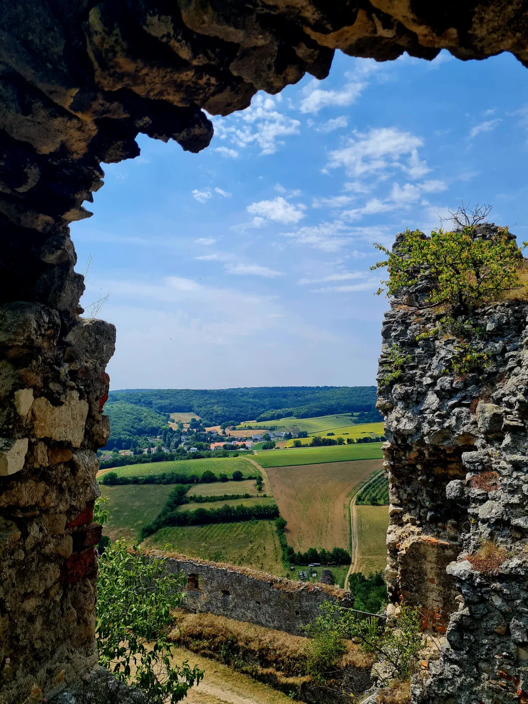 Burgruine Falkenstein Kind