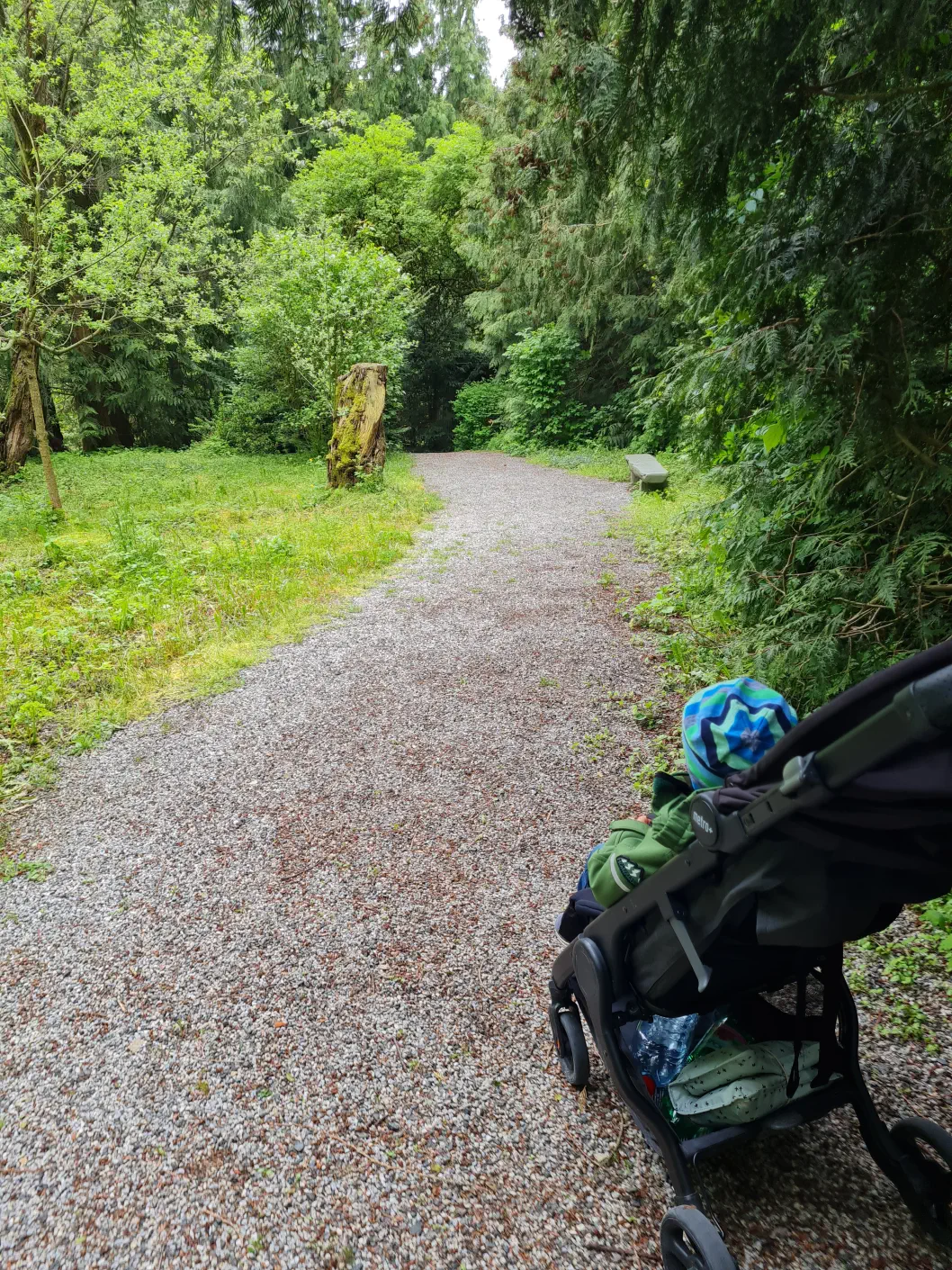 Niederösterreich Greifvogelzentrum Kleinkind