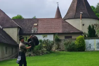 Niederösterreich Greifvogelzentrum Kleinkind