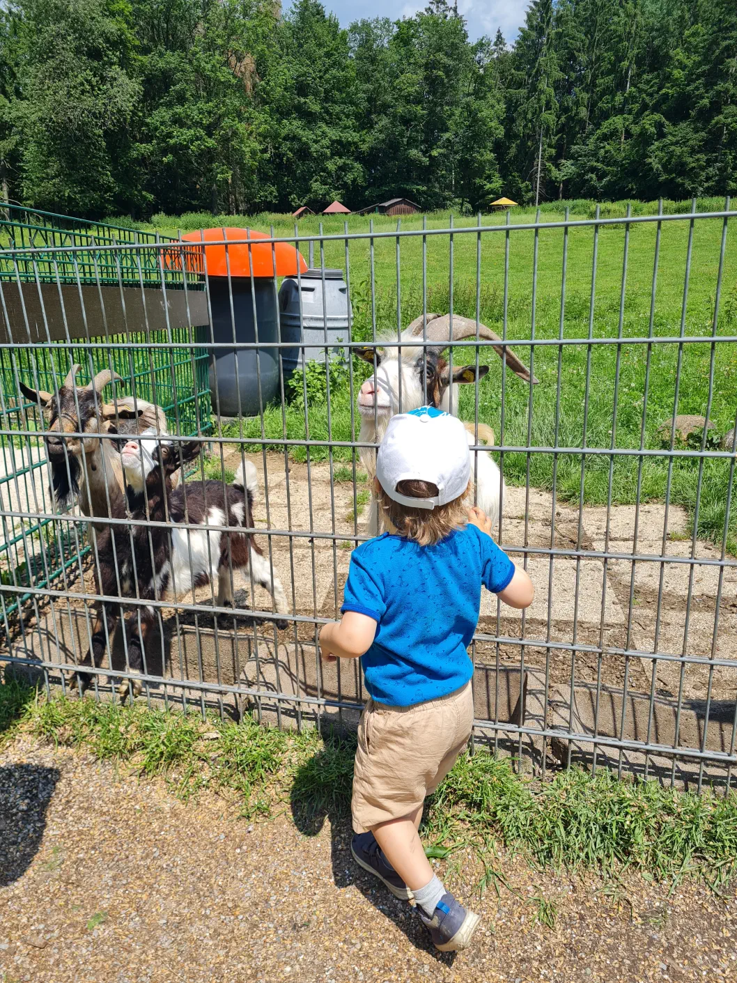 Niederösterreich Erlebnispark Kleinkind