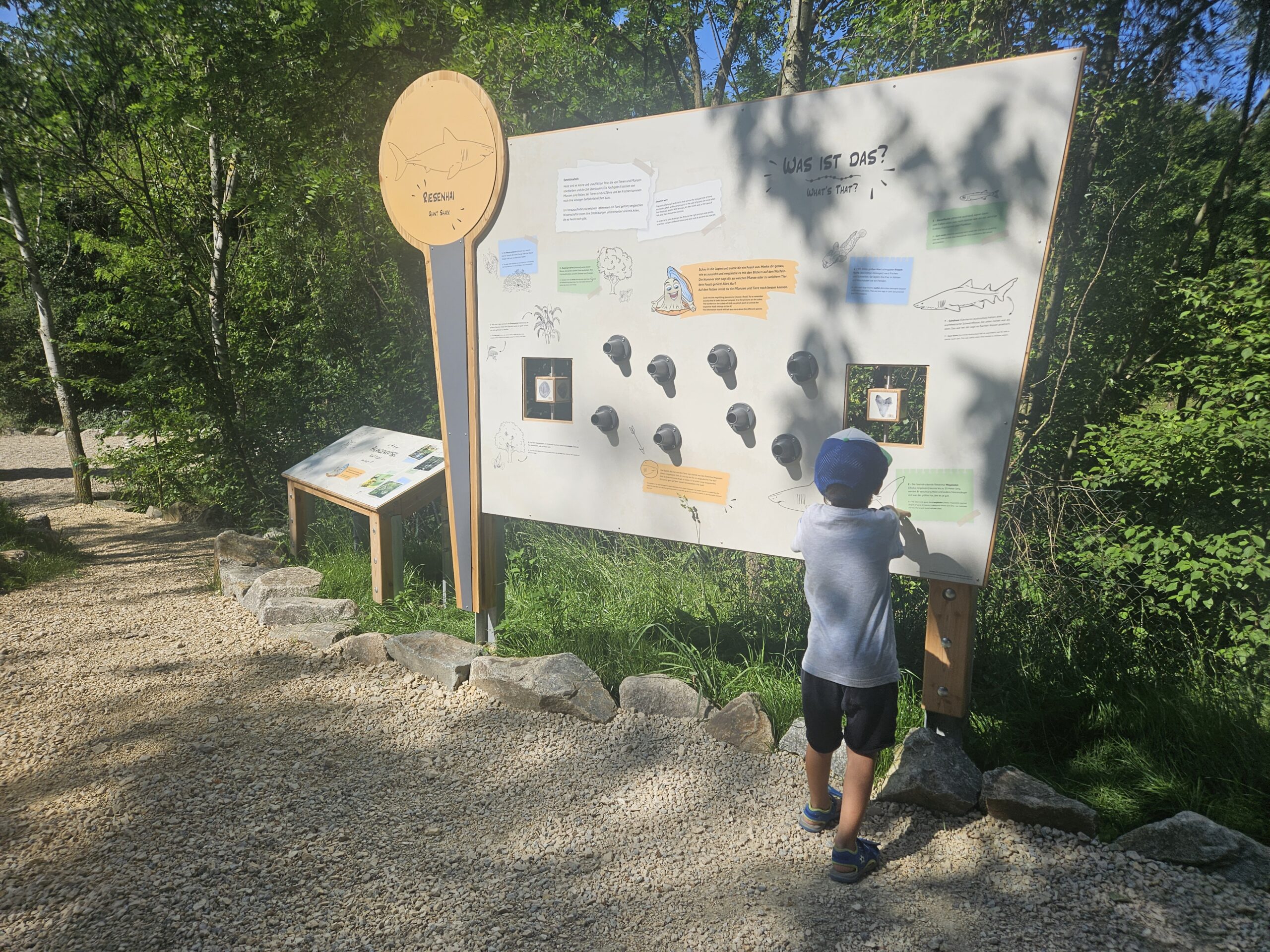 Fossilienwelt Stetten Kleinkind