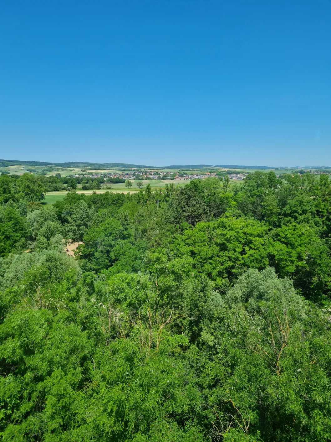 Fossilienwelt Stetten Kleinkind