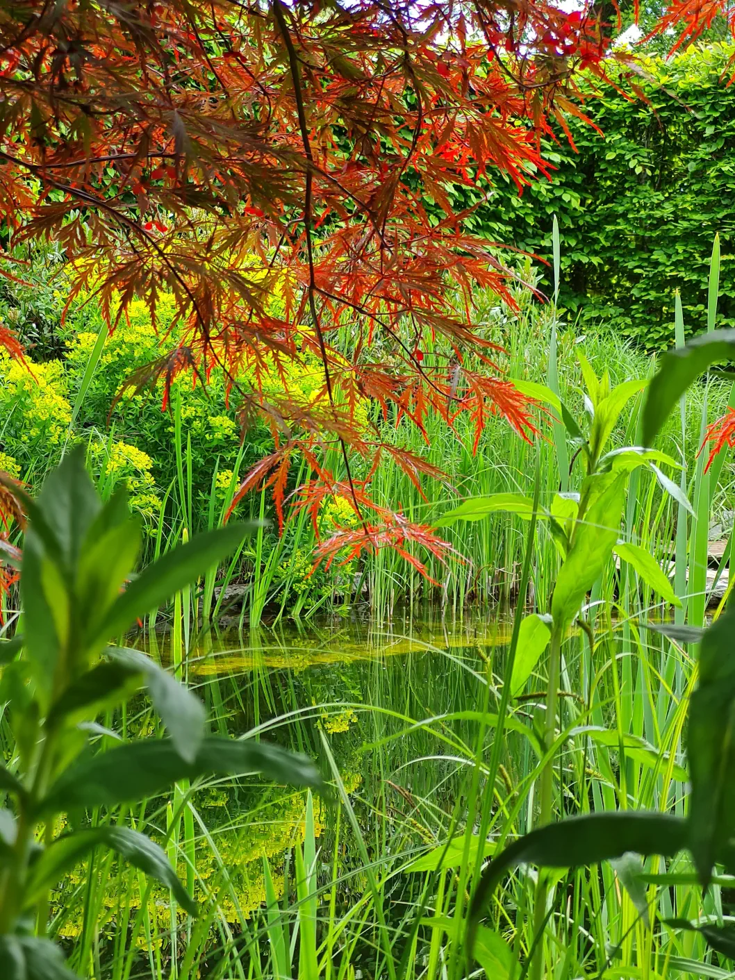 Garten Tulln Kind