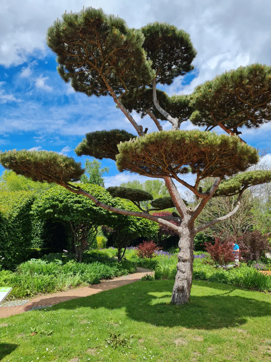 Garten Tulln Kind